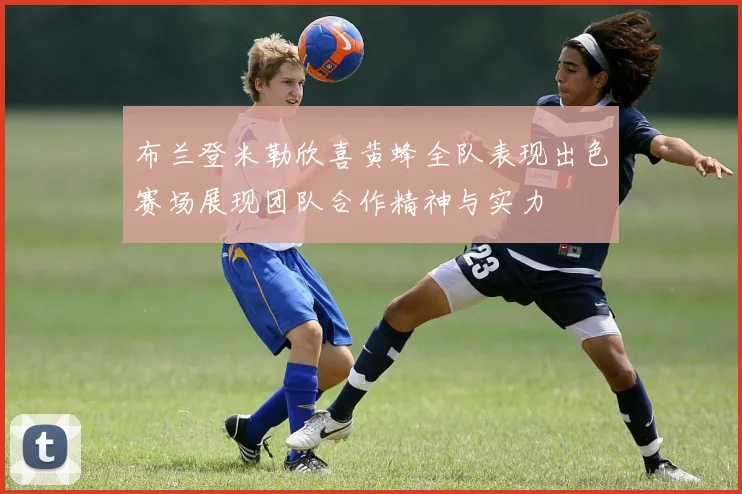 布兰登米勒欣喜黄蜂全队表现出色赛场展现团队合作精神与实力