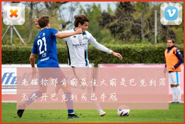 老猫称邓肯前最佳大前是巴克利若无乔丹巴克利或已夺冠